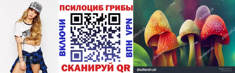 Псилоцибиновые грибы мухоморы Ленск